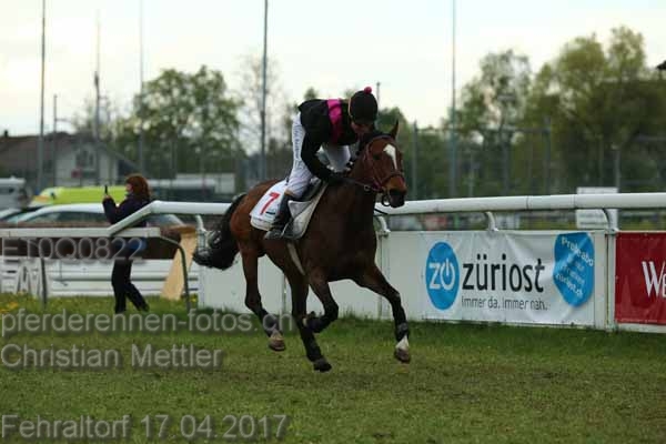ET0Q0822 prot